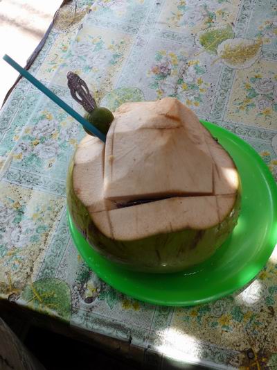 Kokosnuss trinken Kelapa Muda
