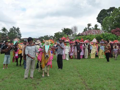 Prozession in Pariangan mit Rindern